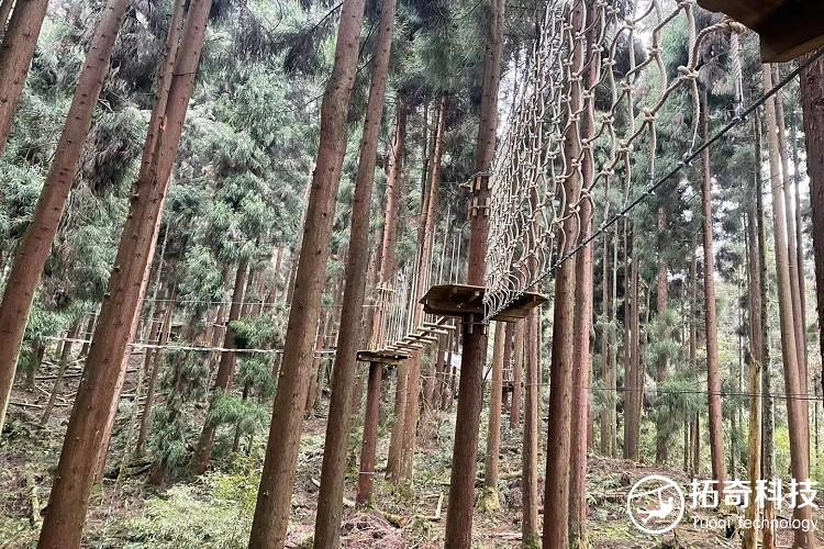 丛林飞跃项目—四川雅安龙苍沟森林公园