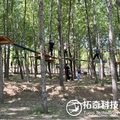 Hebei Xingtai Weifu Group and Yinshanju Forest Expedition Project ended perfectly