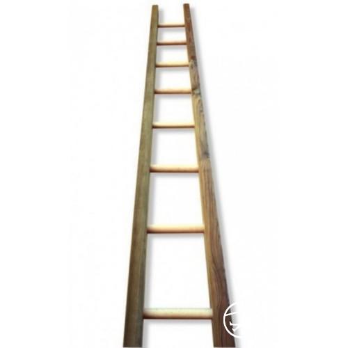 AC05-apple-picker-s-ladder-450-m-1476-ft.jpg