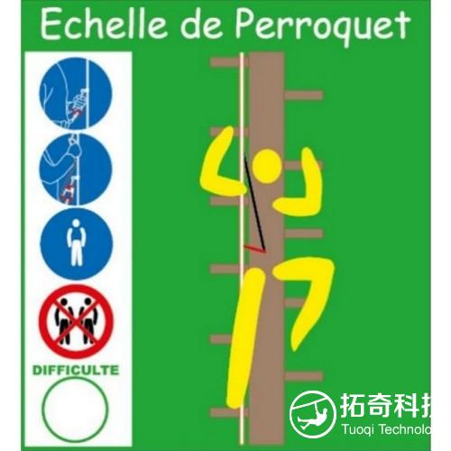 1764726328282521.jpg AC06-parrot-ladder-5-m-1640-ft..jpg