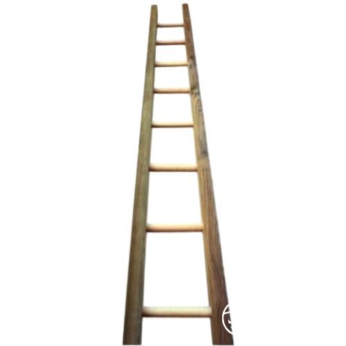 1764726457567183.jpg AC05-apple-picker-s-ladder-450-m-1476-ft.jpg